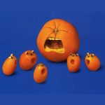 fructe-portocale